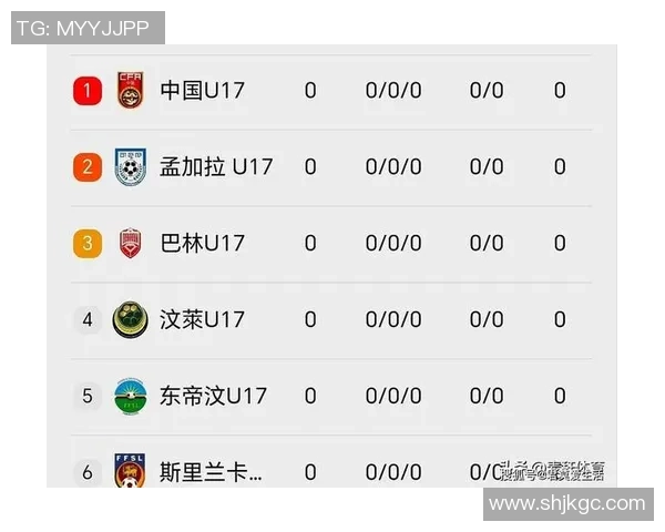 2025年亚洲足球十大球星榜单及其在国际赛场上的影响力分析