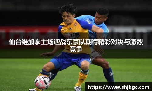SG官网