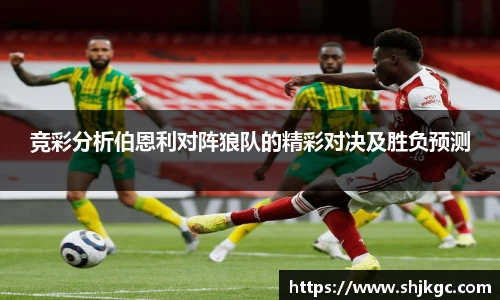 SG胜游